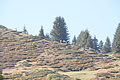 DSC05590 - Bernhard Saalfeld