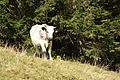 DSC05594 - Bernhard Saalfeld