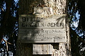 DSC05596 - Bernhard Saalfeld
