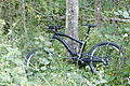 DSC05599 - Bernhard Saalfeld