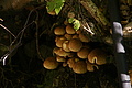 DSC05601 - Bernhard Saalfeld