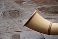 DSC05607 - Bernhard Saalfeld