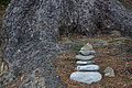 DSC01104 - Bernhard Saalfeld