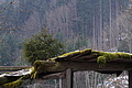DSC01107 - Bernhard Saalfeld