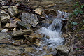 DSC01116 - Bernhard Saalfeld