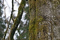 DSC01121 - Bernhard Saalfeld