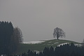 DSC01130 - Bernhard Saalfeld