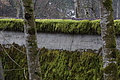 DSC01147 - Bernhard Saalfeld