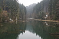 DSC01151 - Bernhard Saalfeld