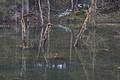 DSC01156 - Bernhard Saalfeld