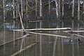 DSC01162 - Bernhard Saalfeld
