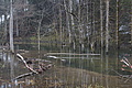 DSC01165 - Bernhard Saalfeld