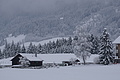 DSC01171 - Bernhard Saalfeld