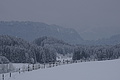 DSC01174 - Bernhard Saalfeld