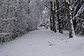 DSC01184 - Bernhard Saalfeld