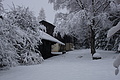 DSC01189 - Bernhard Saalfeld