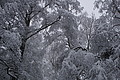 DSC01191 - Bernhard Saalfeld