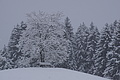 DSC01195 - Bernhard Saalfeld