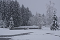 DSC01196 - Bernhard Saalfeld