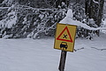 DSC01200 - Bernhard Saalfeld