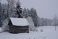 DSC01203 - Bernhard Saalfeld