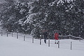 DSC01206 - Bernhard Saalfeld