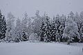 DSC01207 - Bernhard Saalfeld