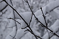 DSC01212 - Bernhard Saalfeld