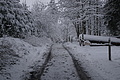 DSC01214 - Bernhard Saalfeld
