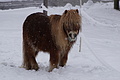 DSC01218 - Bernhard Saalfeld