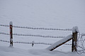 DSC01236 - Bernhard Saalfeld