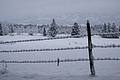 DSC01237 - Bernhard Saalfeld