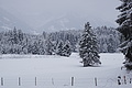 DSC01241 - Bernhard Saalfeld