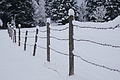 DSC01249 - Bernhard Saalfeld