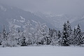 DSC01250 - Bernhard Saalfeld