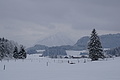 DSC01251 - Bernhard Saalfeld