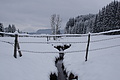 DSC01252 - Bernhard Saalfeld