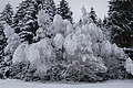 DSC01254 - Bernhard Saalfeld