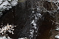 DSC01261 - Bernhard Saalfeld