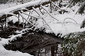 DSC01262 - Bernhard Saalfeld