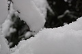 DSC01265 - Bernhard Saalfeld
