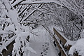 DSC01266 - Bernhard Saalfeld