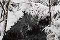 DSC01267 - Bernhard Saalfeld