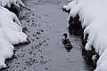 DSC01269 - Bernhard Saalfeld