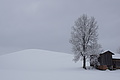 DSC01273 - Bernhard Saalfeld