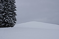 DSC01274 - Bernhard Saalfeld