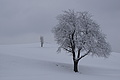 DSC01275 - Bernhard Saalfeld