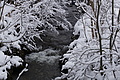 DSC01280 - Bernhard Saalfeld
