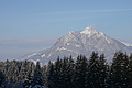 DSC01295 - Bernhard Saalfeld