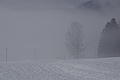 DSC01314 - Bernhard Saalfeld